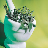 Herbs in a mortar